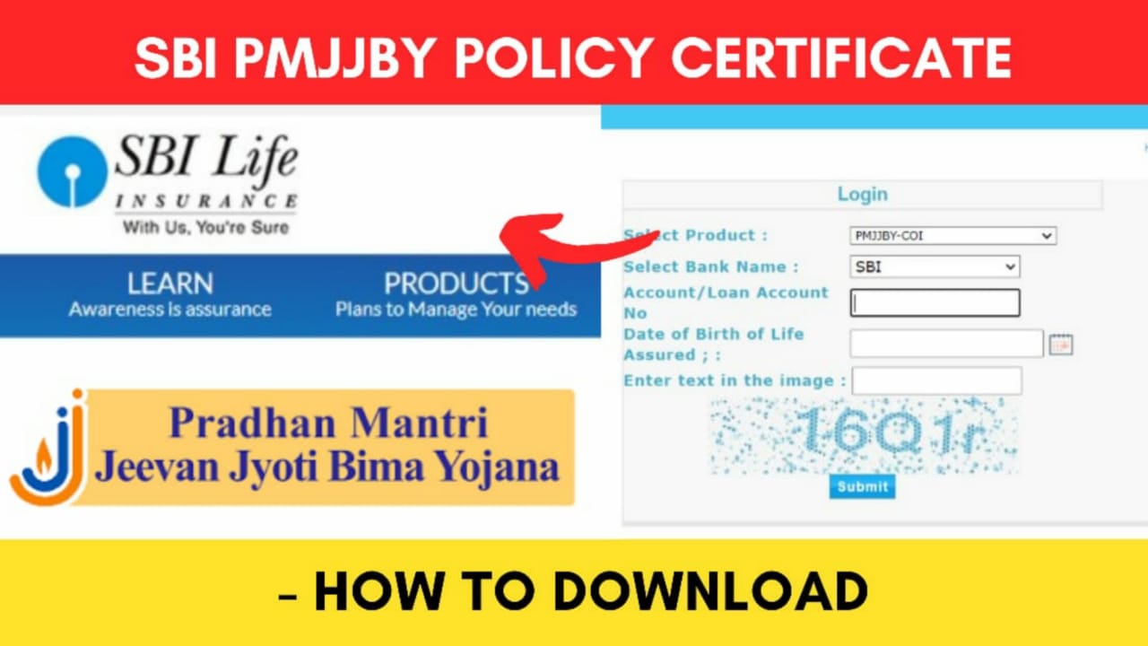 State Bank of India visual data 8