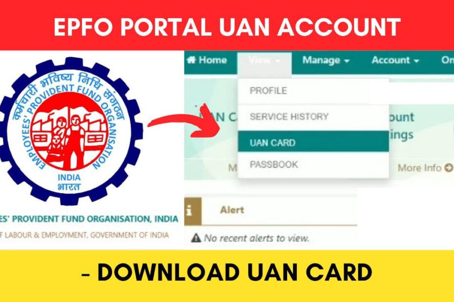 Download UAN card online process