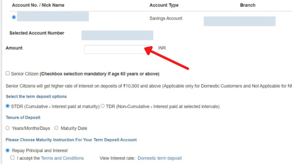 Tax saving FD details entry page