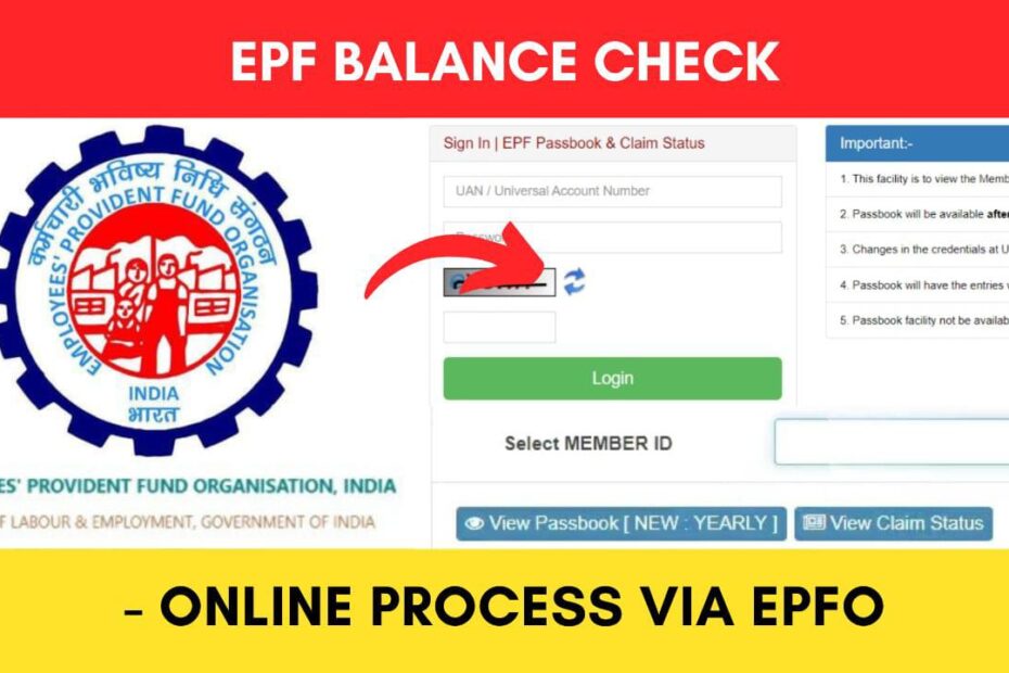 Check EPF Balance Online Process via EPFO