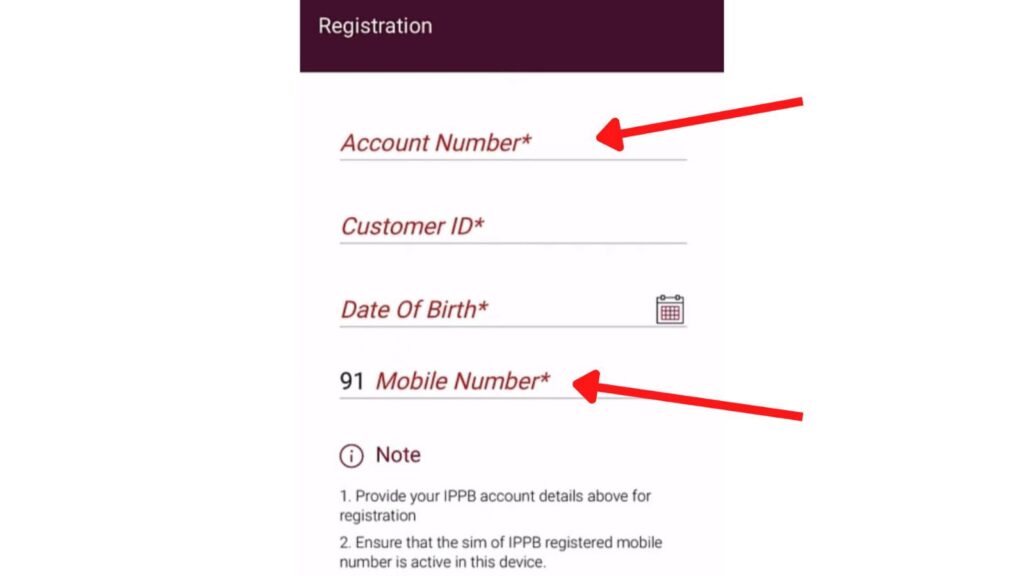 IPPB mobile app details entry page