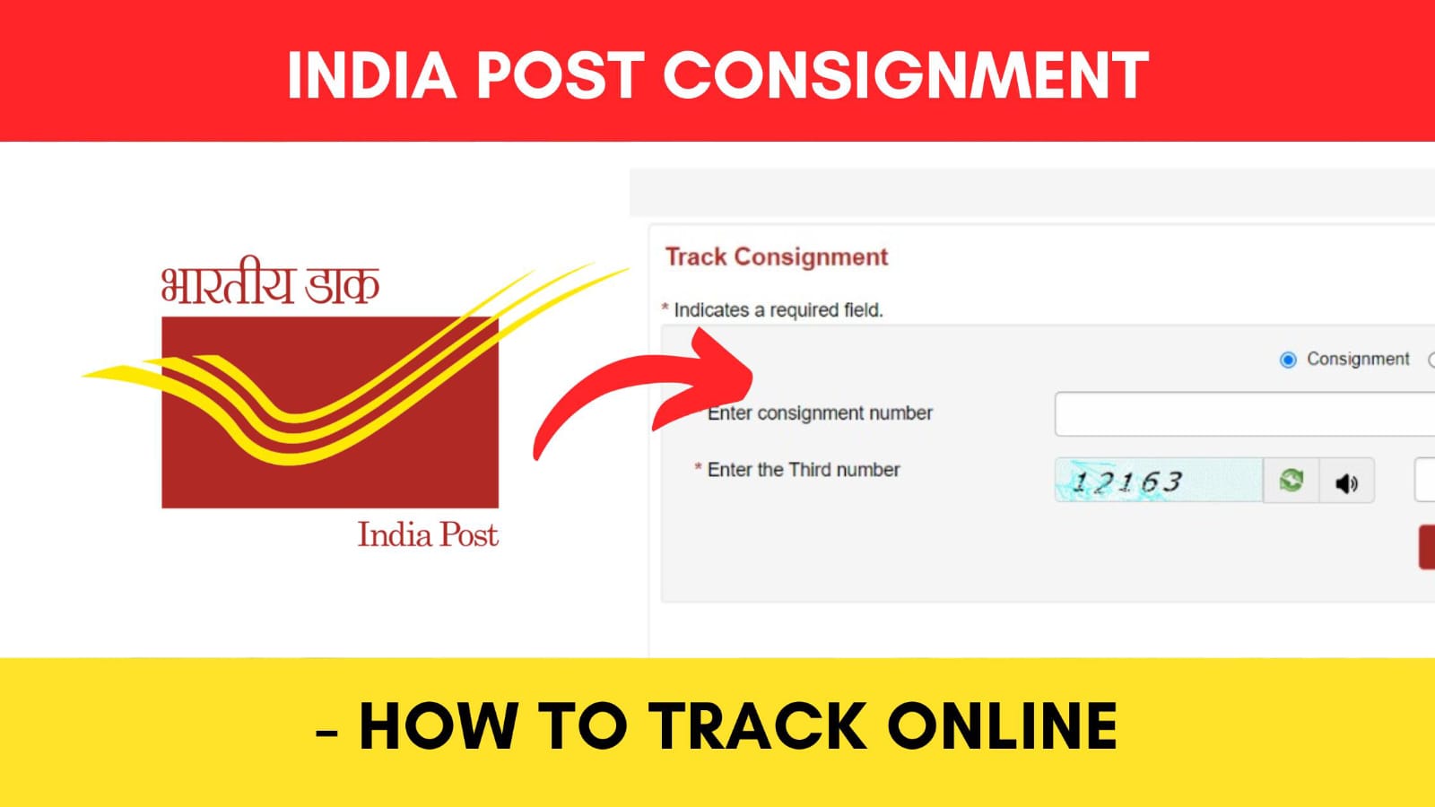 How To Track India Post Cognignment Online Dreamtrix Finance