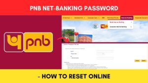 PNB password reset process